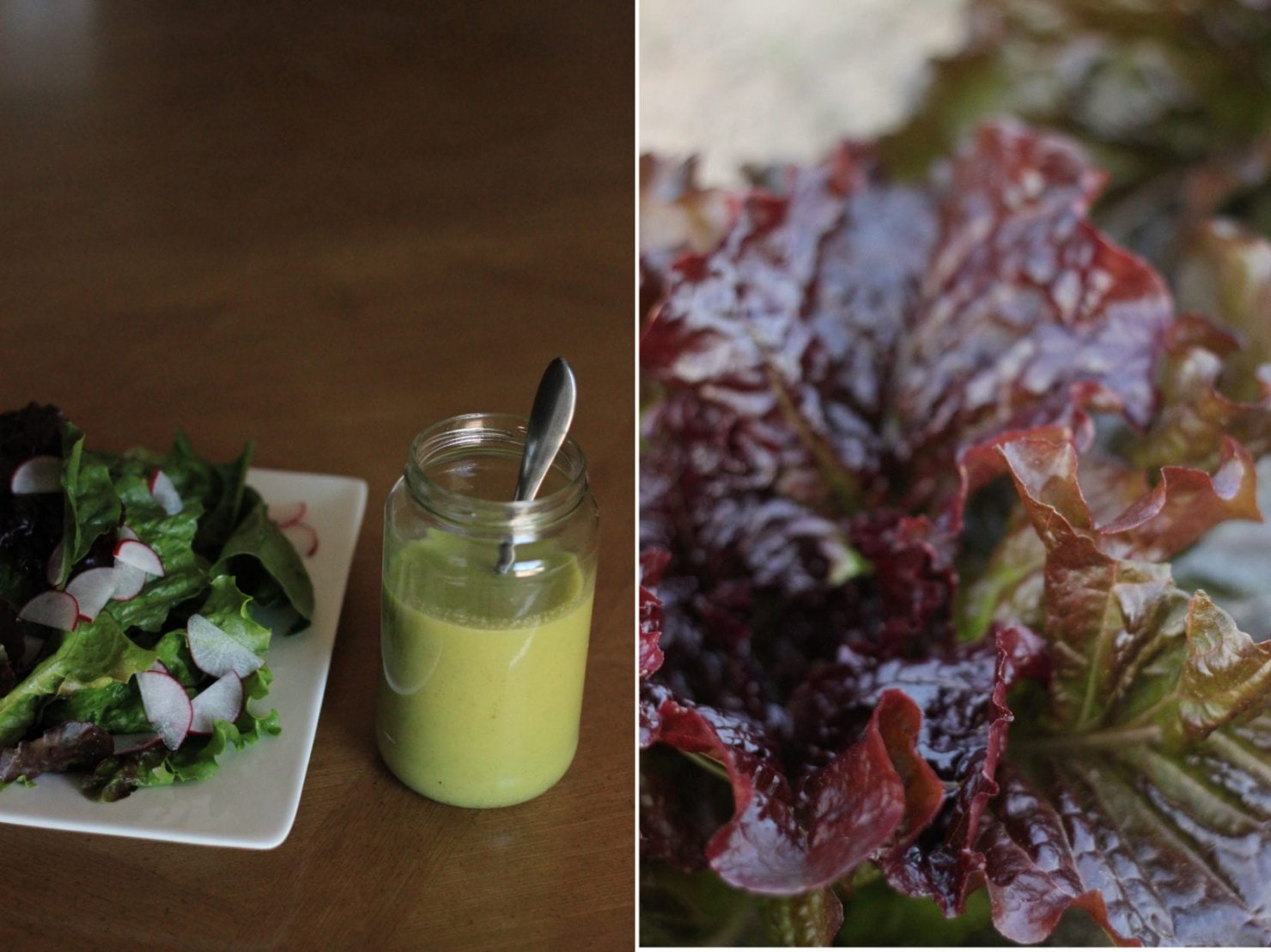 Garlic Scape Dressing Recipe The First Mess