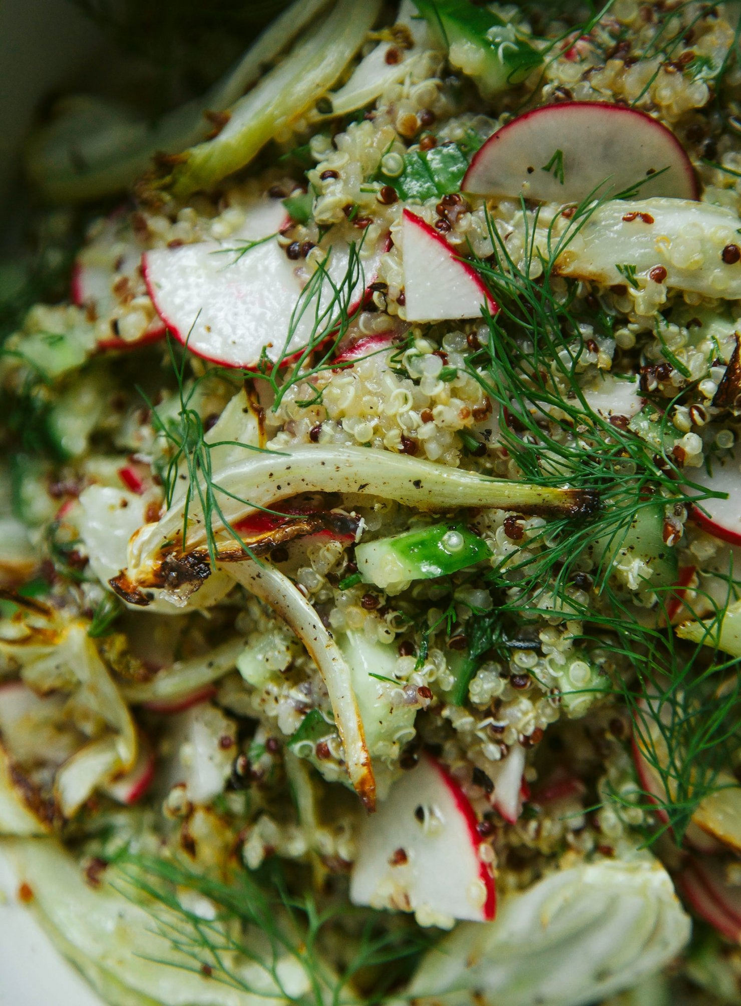 Grilled Fennel and Quinoa Salad (vegan) The First Mess
