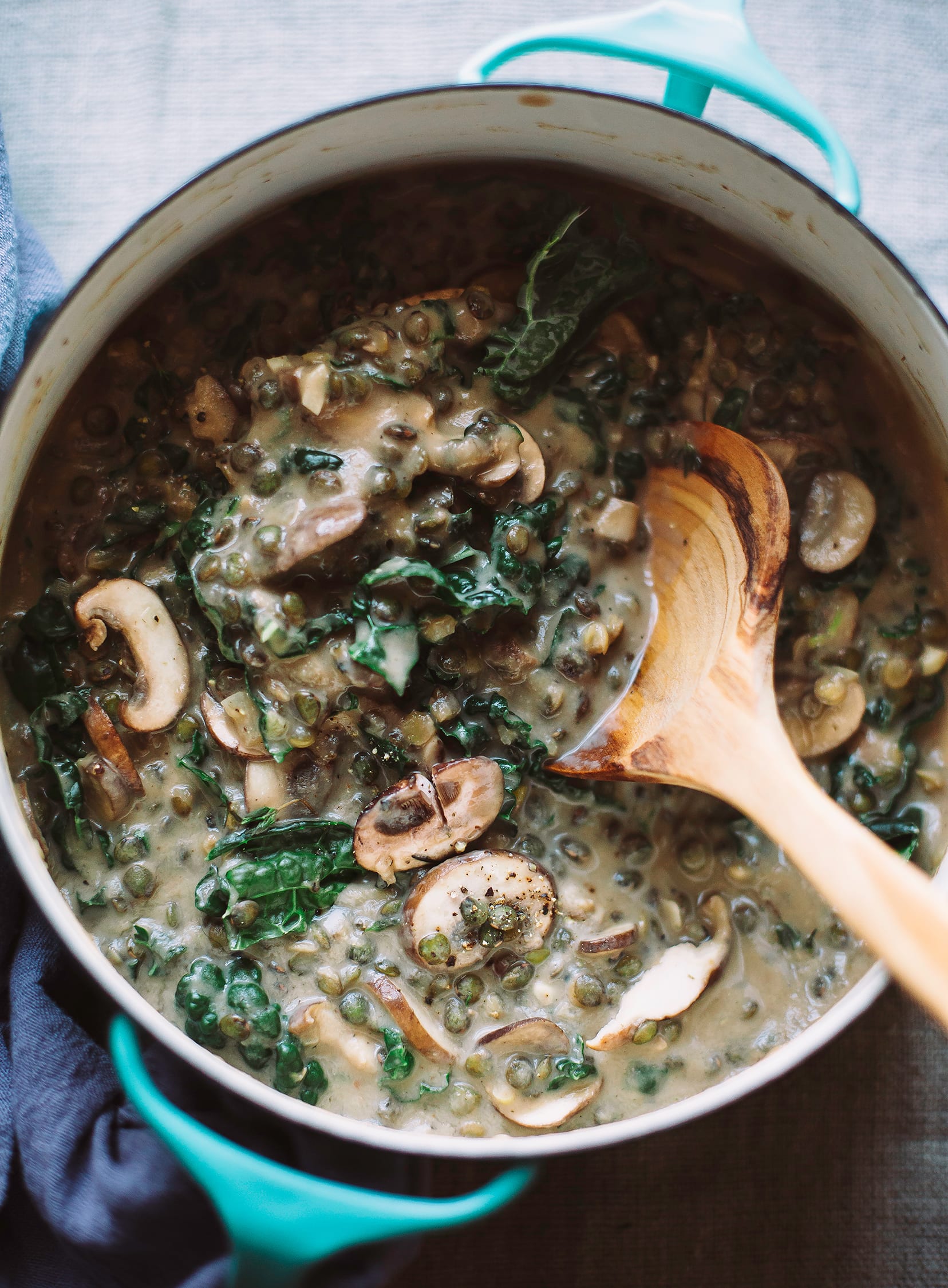 Lentilles vertes with fresh & dried mushrooms