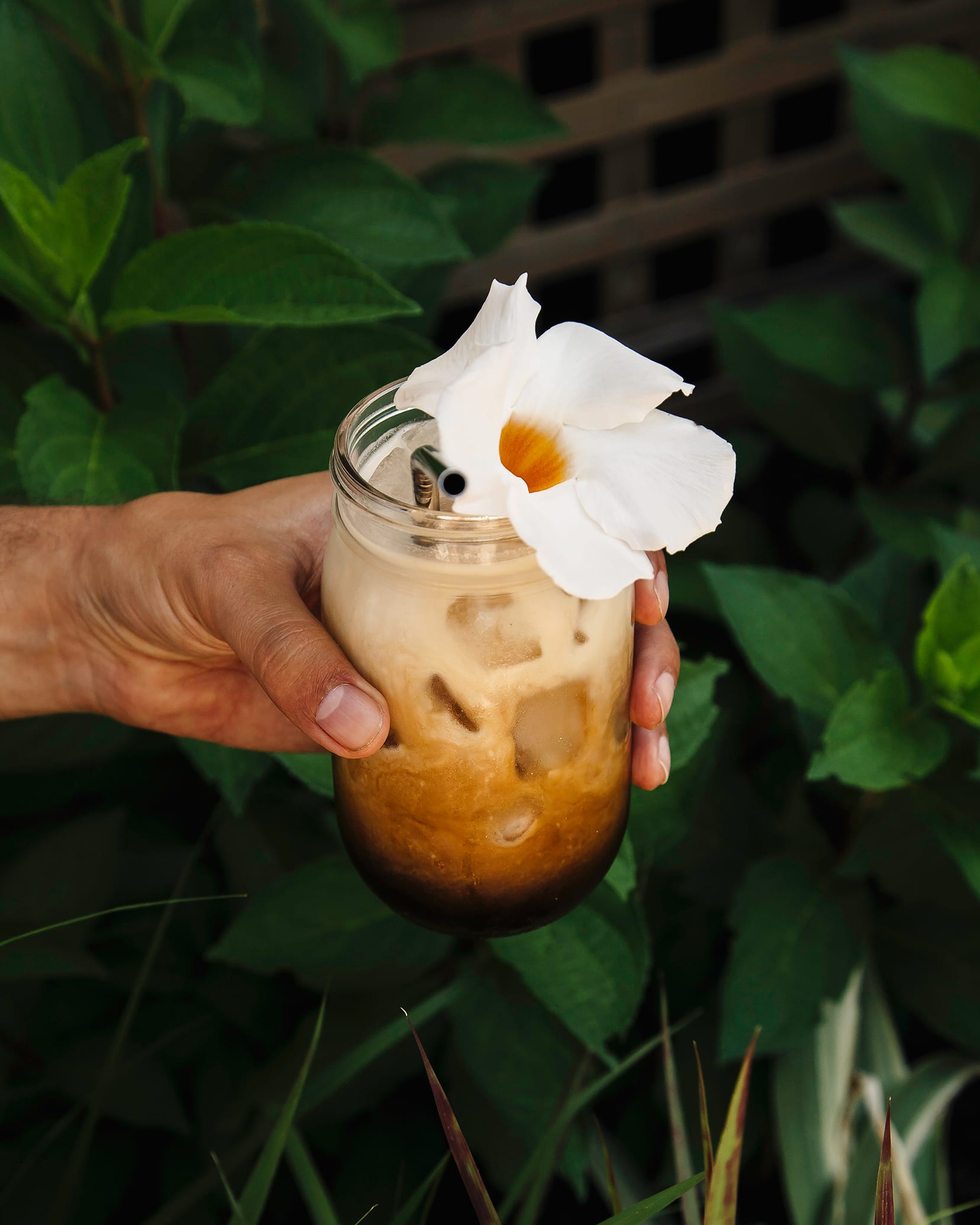 Cold Brew Coffee Recipe - NYT Cooking