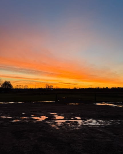 A head-on shot shows a sun rise over a farmer's field.