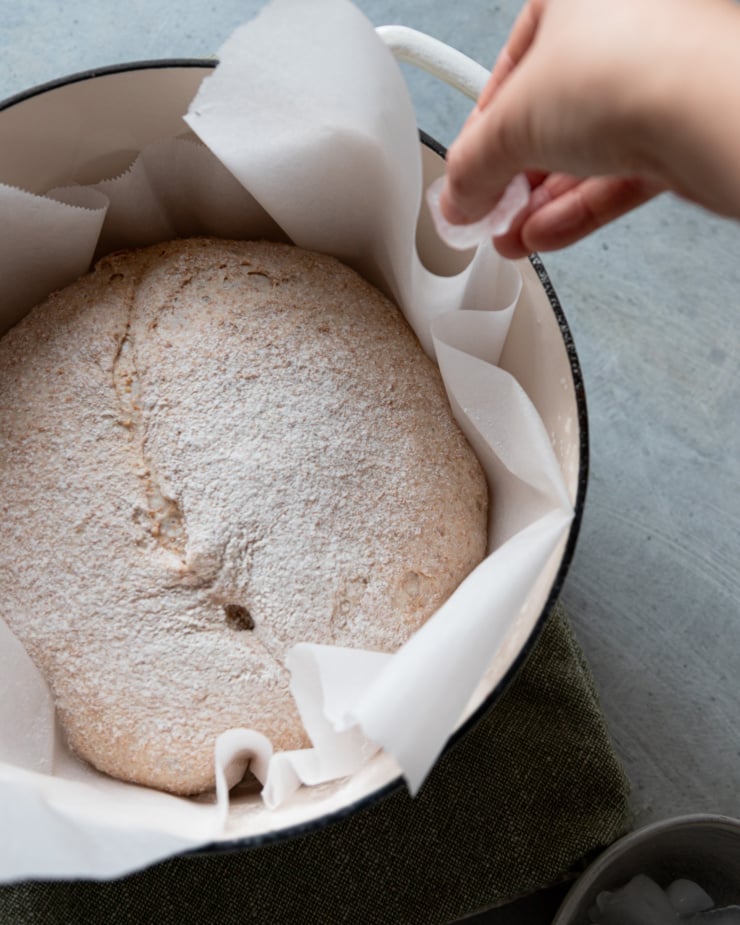 An overhead shot shows a hand adding ice cubes underneath a parchment encased portion of bread dough in a hot Dutch oven.