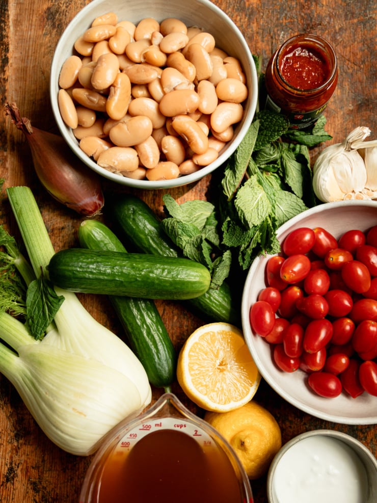 Overhead flat lay of all recipe ingredients on a wooden surface: butter beans, cherry tomatoes, mini cucumbers, fennel, shallot, garlic, fresh mint, harissa paste, lemons, vegetable stock, and vegan yogurt.