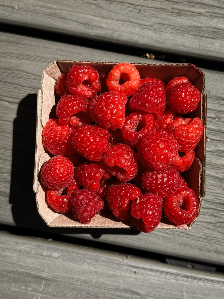 A cardboard pint container overflowing with fresh red raspberries, photographed from above on a weathered grey wood surface in bright sunlight. The berries are deeply coloured and glossy, casting sharp shadows across the slats.
