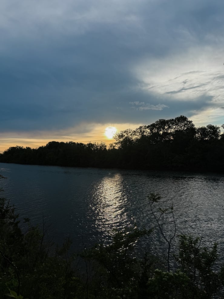 A moody sunrise over a calm river, with the sun low on the horizon behind a dark silhouette of trees. Warm golden light reflects in a rippling path across the water's surface. Overcast blue-grey clouds fill most of the sky, with wildflowers and shrubs visible in the foreground.