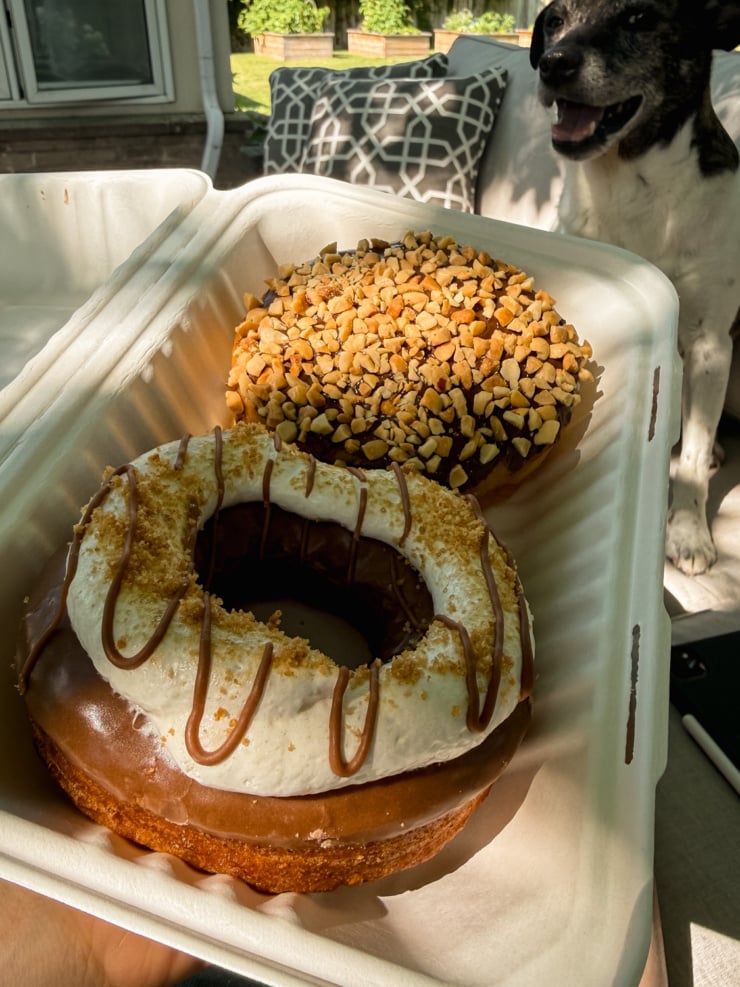 A close-up of two large gourmet vegan doughnuts in a takeout box, one topped with chopped peanuts, one glazed with a marshmallow-frosting ring and chocolate drizzle over graham cracker crumbs. A black-and-white dog looks on eagerly in the background.