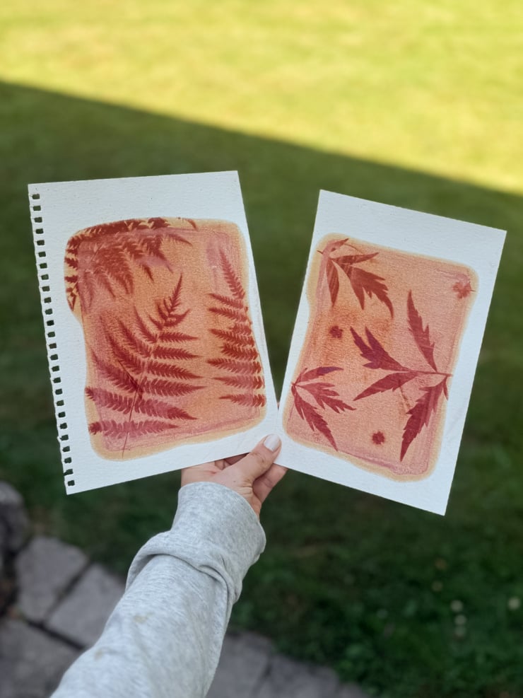 A hand holding up two reddish-orange sun prints made with turmeric, one showing a fern silhouette and the other a black lace elderberry leaf silhouette, against a green lawn backdrop.