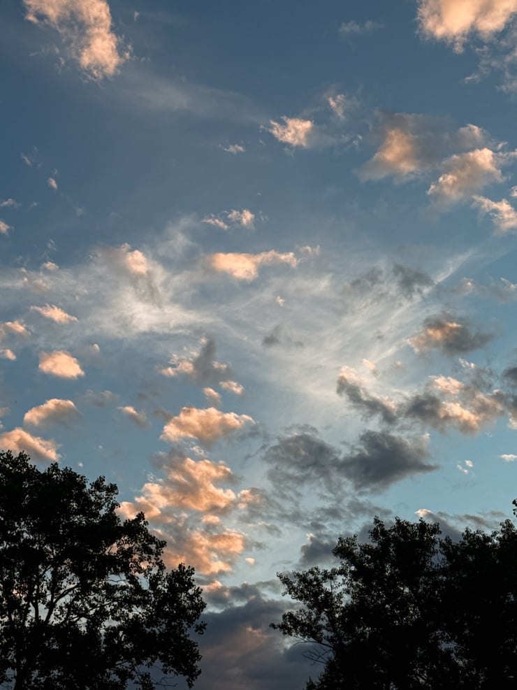 A blue evening sky scattered with pink and orange-tinted clouds, framed by dark silhouetted treetops along the bottom edge.
