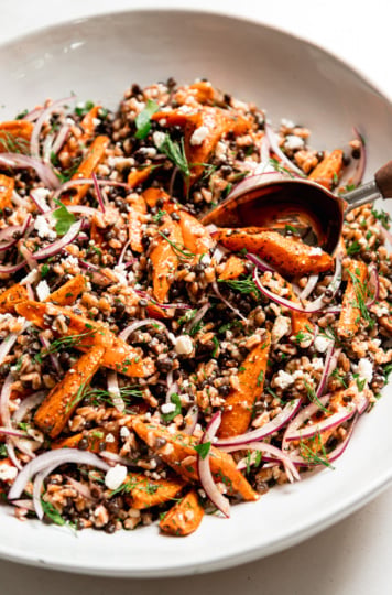 Farro lentil salad with za'atar and black lime roasted carrots, red onion, crumbled vegan feta, parsley and dill in a white bowl with a serving spoon.