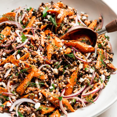 Farro lentil salad with za'atar and black lime roasted carrots, red onion, crumbled vegan feta, parsley and dill in a white bowl with a serving spoon.
