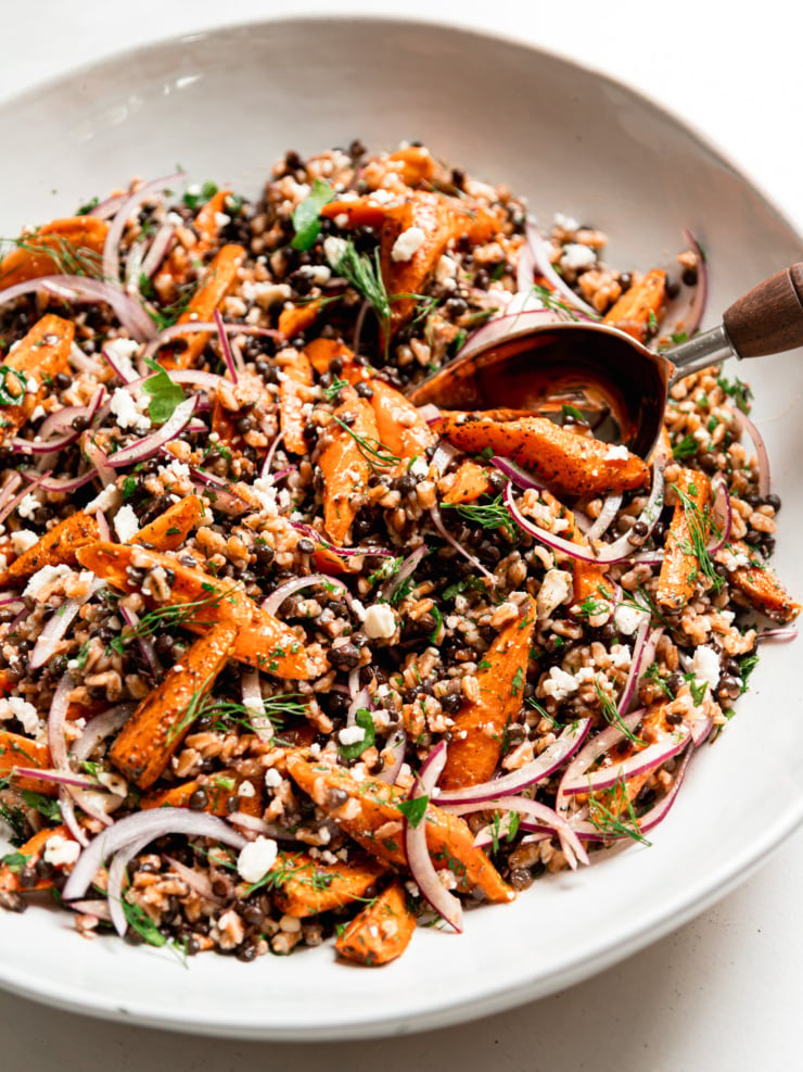 Farro lentil salad with za'atar and black lime roasted carrots, red onion, crumbled vegan feta, parsley and dill in a white bowl with a serving spoon.