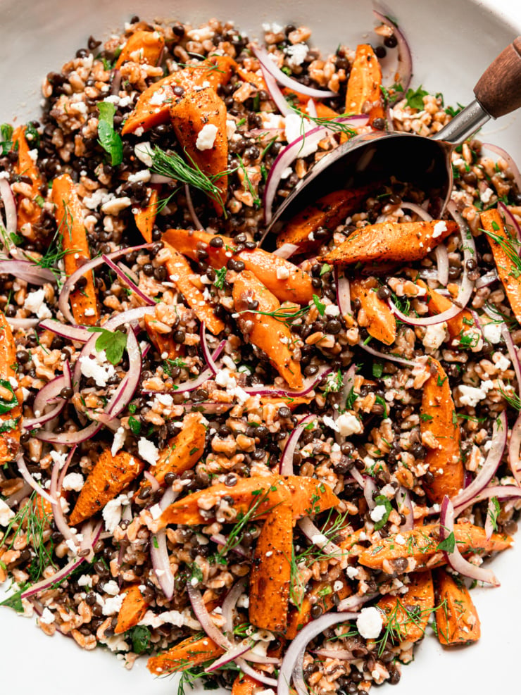 Close-up of farro lentil salad with spiced roasted carrots, thinly sliced red onion, crumbled vegan feta and fresh dill, with a serving spoon.