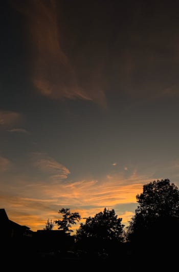 A dusky evening sky with wispy orange and peach clouds glowing above the dark silhouettes of trees and rooftops.