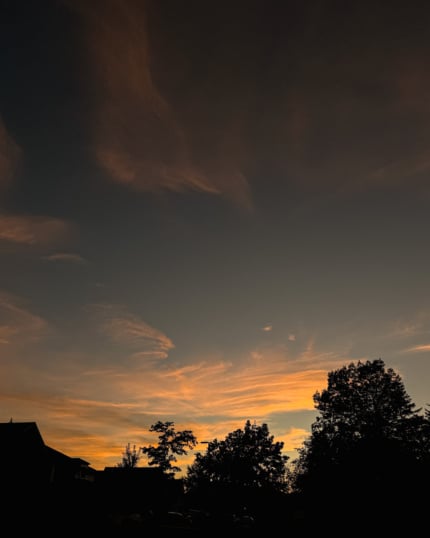A dusky evening sky with wispy orange and peach clouds glowing above the dark silhouettes of trees and rooftops.