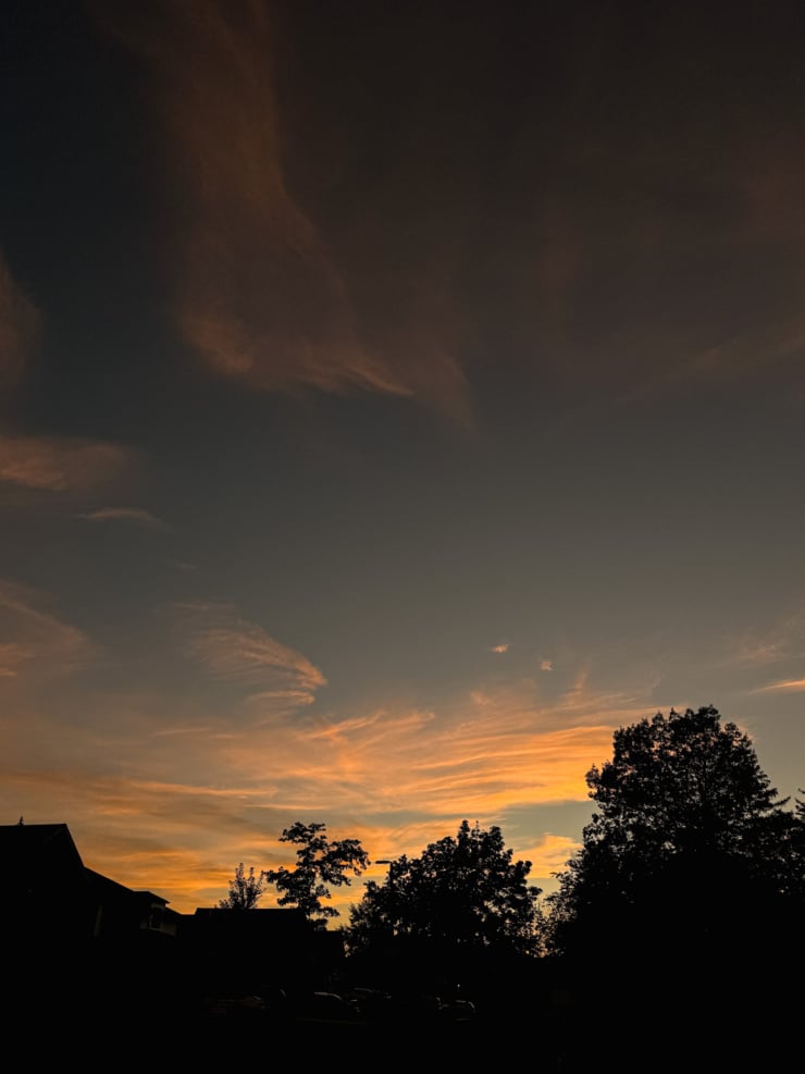 A dusky evening sky with wispy orange and peach clouds glowing above the dark silhouettes of trees and rooftops.