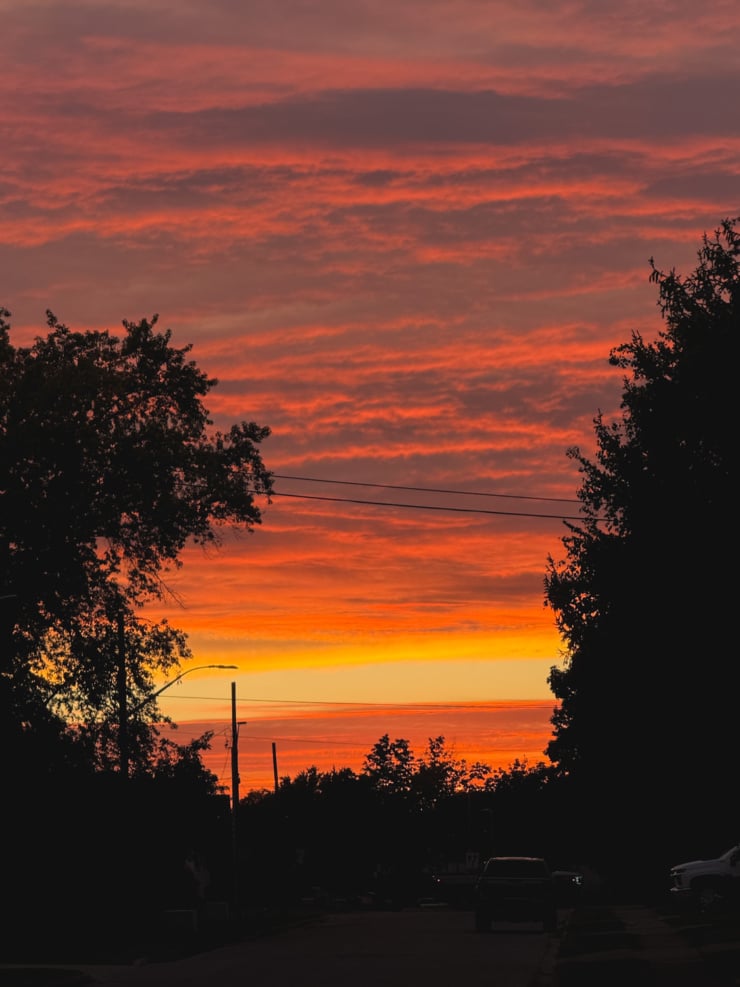 An upward angled shot shows a brilliant orange, magenta and mauve sunset over a tree-lined street. Power lines dangle across the middle, connecting shadows of trees.