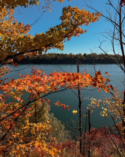 A wide blue river seen through maple branches with bright orange, red, and yellow autumn leaves, with a tree-lined bank on the far shore.