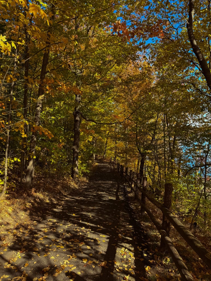 A paved path covered in fallen leaves winds through a canopy of yellow and orange autumn trees, lined with a wooden rail fence.